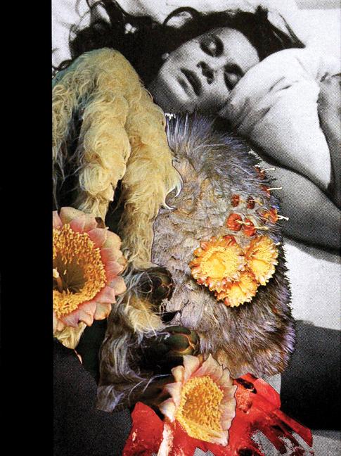 Vorderes Coverbild Jonah Freeman & Justin Lowe