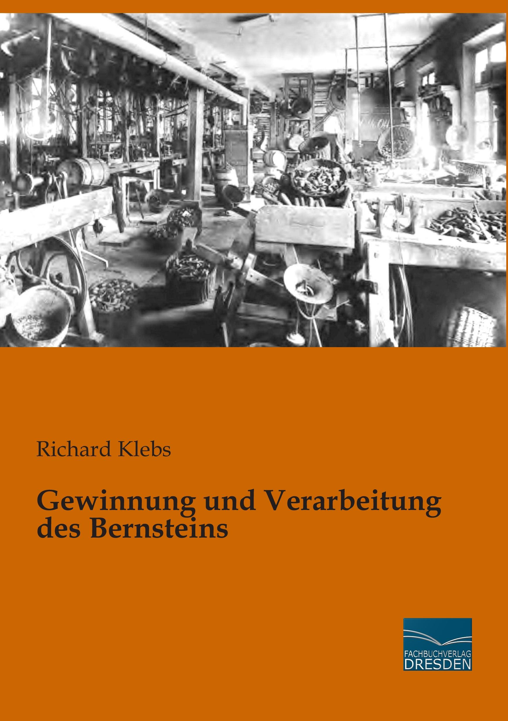 Vorderes Coverbild Gewinnung und Verarbeitung des Bernsteins