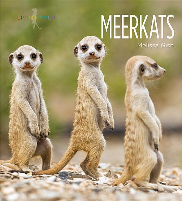 Vorderes Coverbild Meerkats