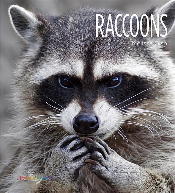 Vorderes Coverbild Raccoons