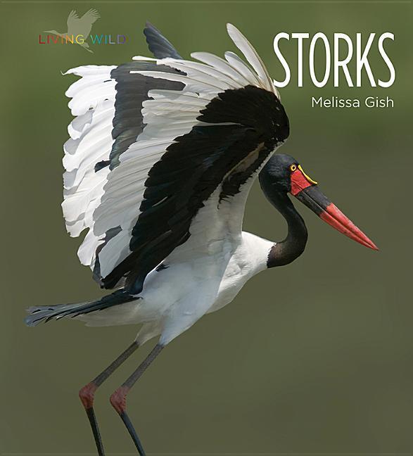 Vorderes Coverbild Storks