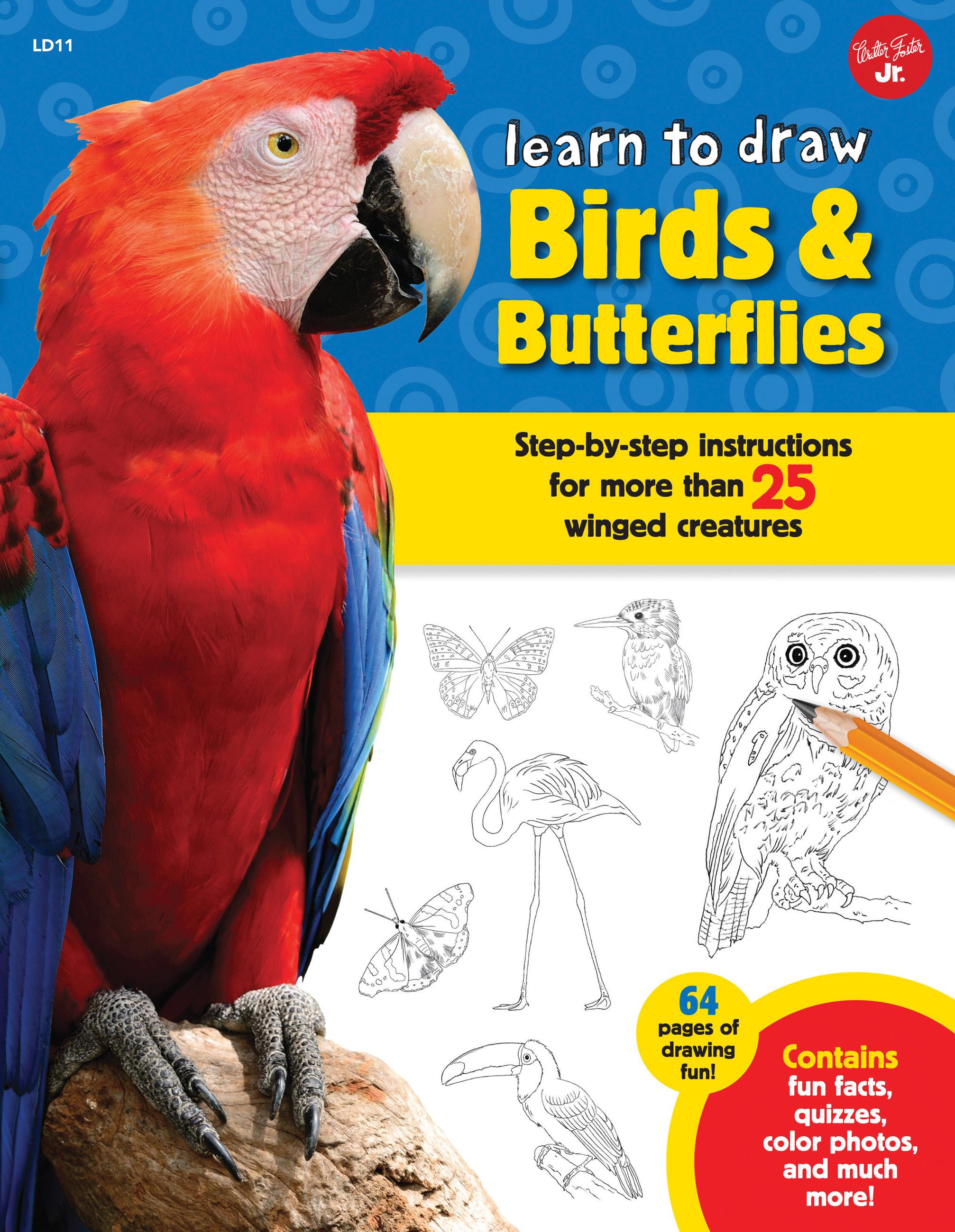 Vorderes Coverbild Learn to Draw Birds & Butterflies