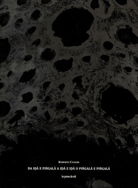 Vorderes Coverbild Roberto Cuoghi: Da Ida E Piñgala a Ida E Ida O Piñgala E Piñgala