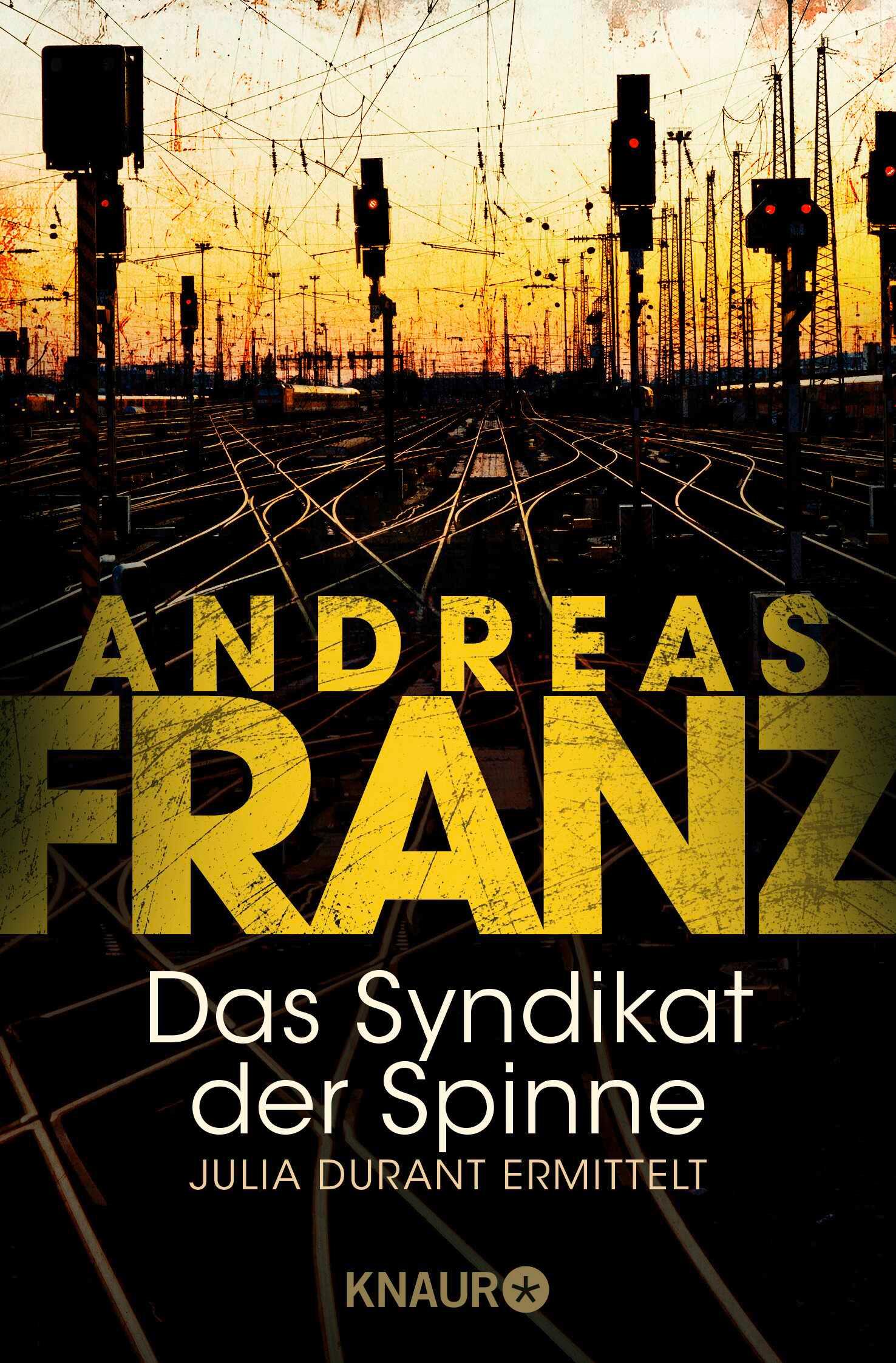 Vorderes Coverbild Das Syndikat der Spinne
