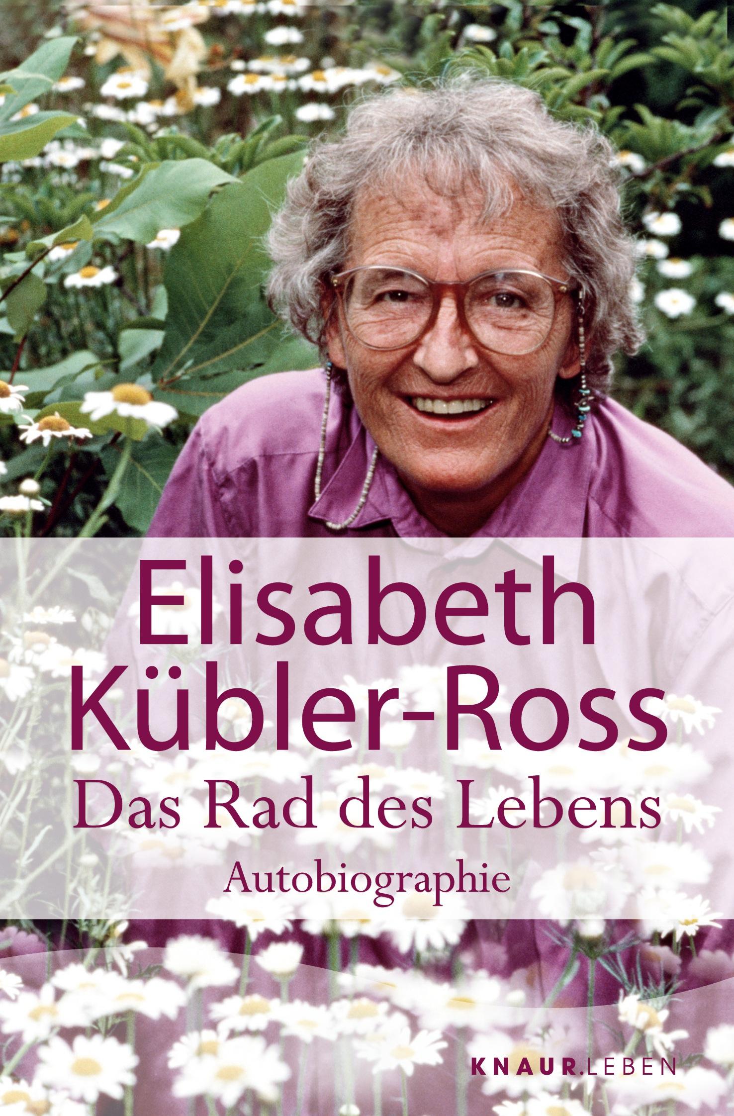Vorderes Coverbild Das Rad des Lebens