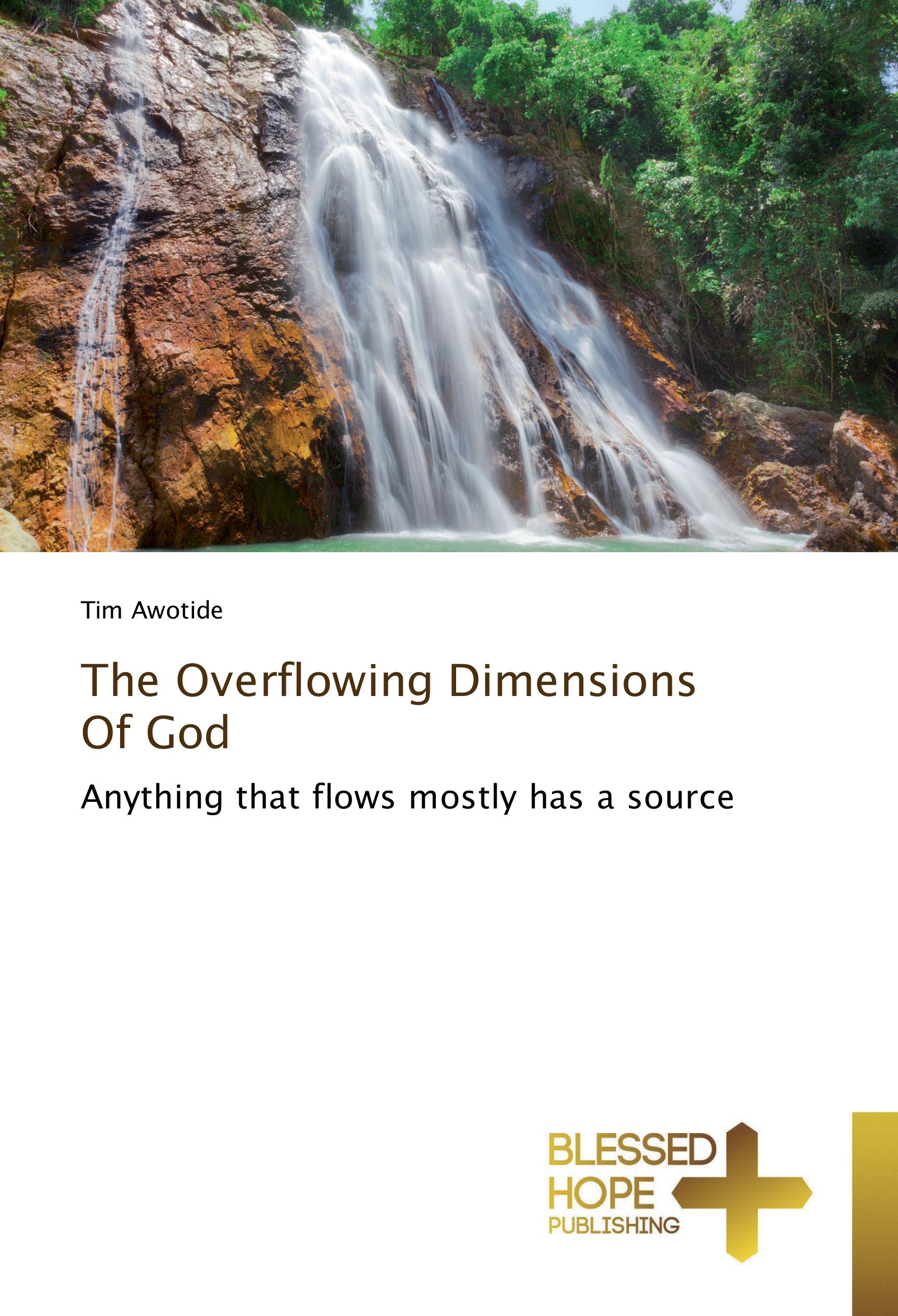 Vorderes Coverbild The Overflowing Dimensions Of God