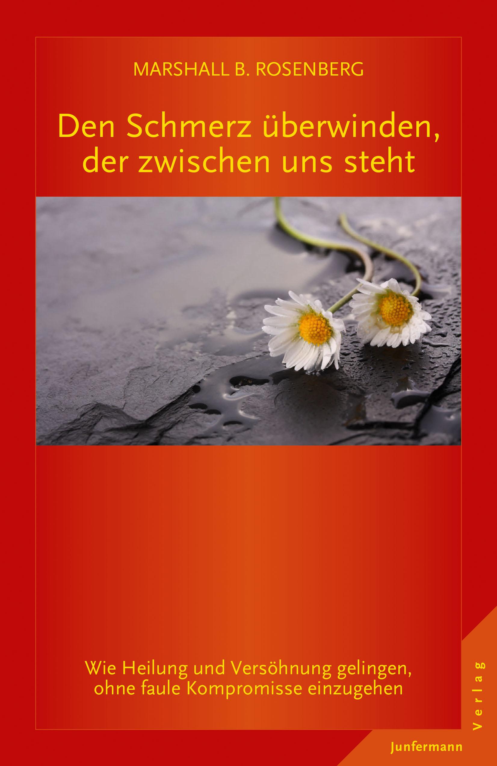 Vorderes Coverbild Den Schmerz überwinden, der zwischen uns steht