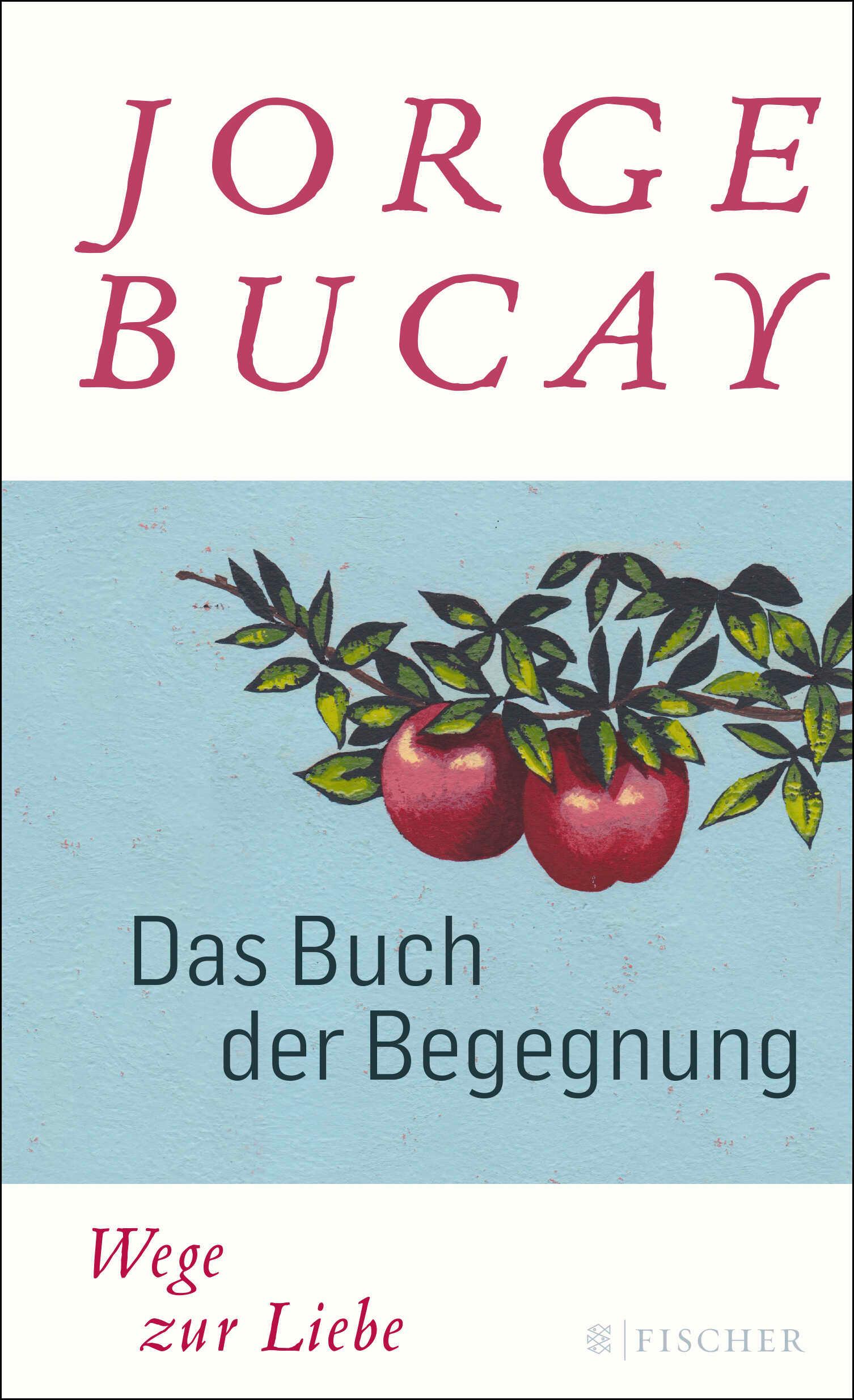 Vorderes Coverbild Das Buch der Begegnung
