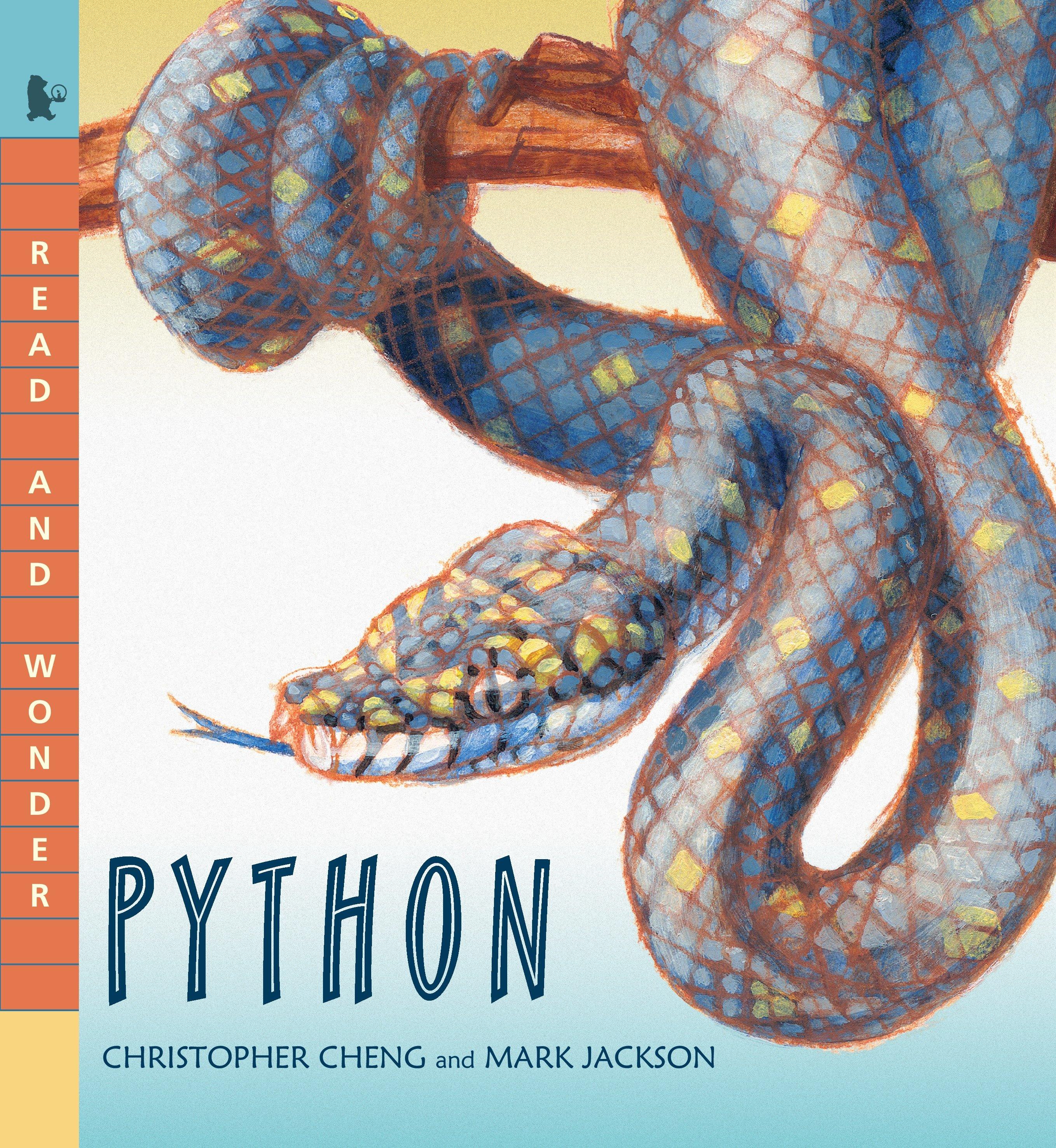 Vorderes Coverbild Python