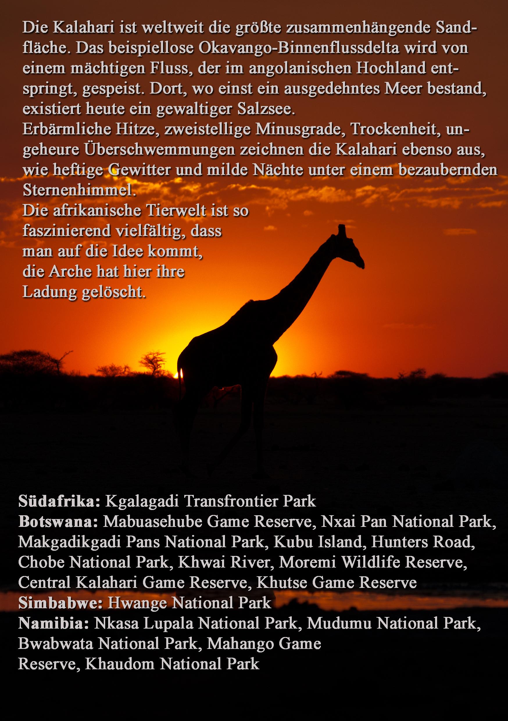 Rückseitencover KALAHARI: Alle Parks der Kalahari
