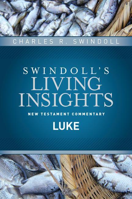 Vorderes Coverbild Insights on Luke