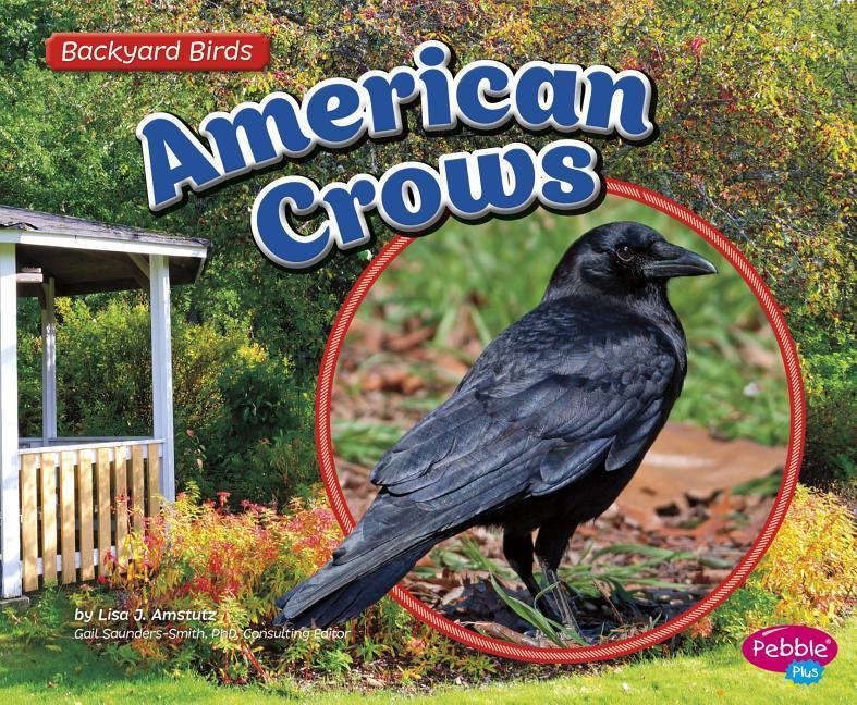 Vorderes Coverbild American Crows
