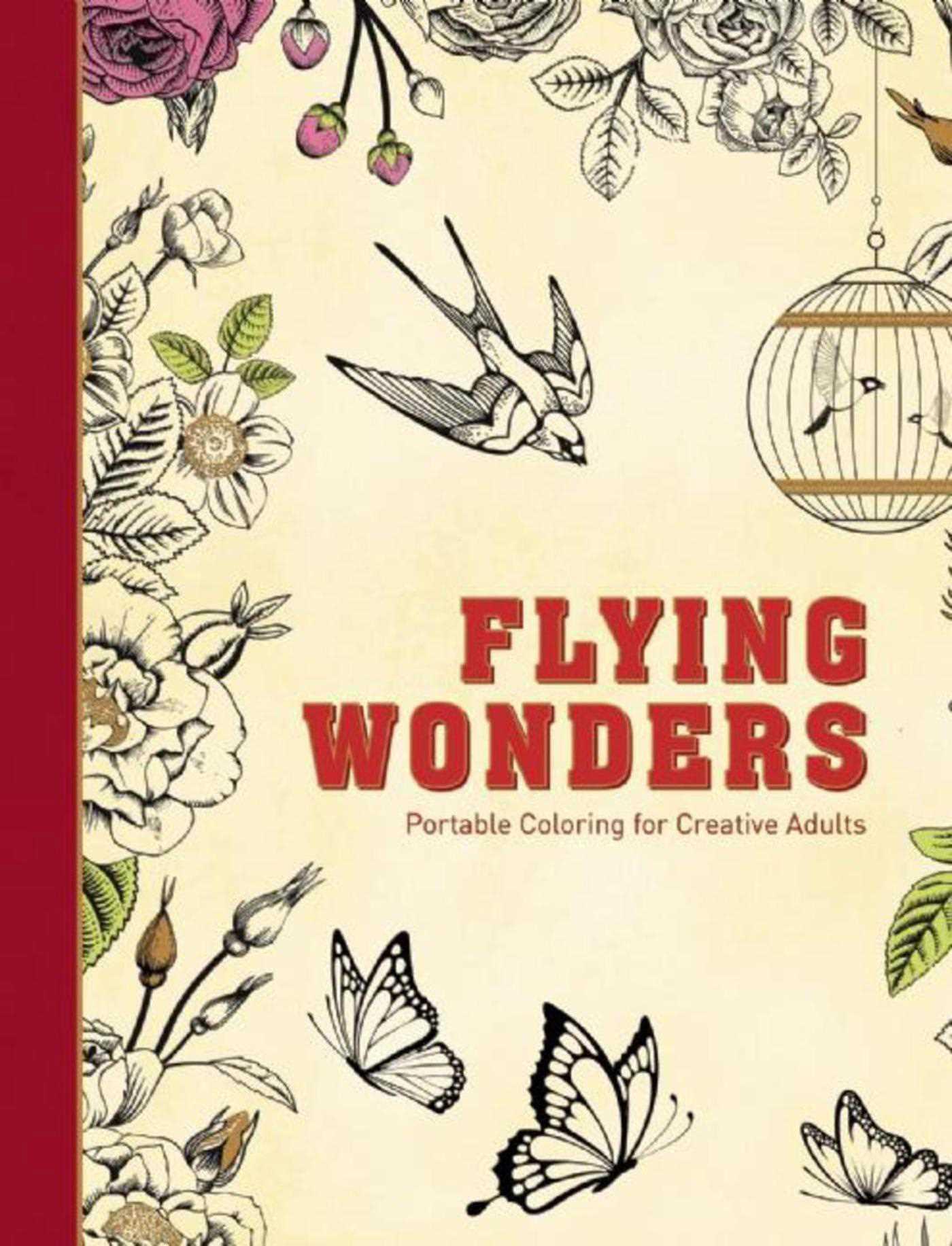 Vorderes Coverbild Flying Wonders