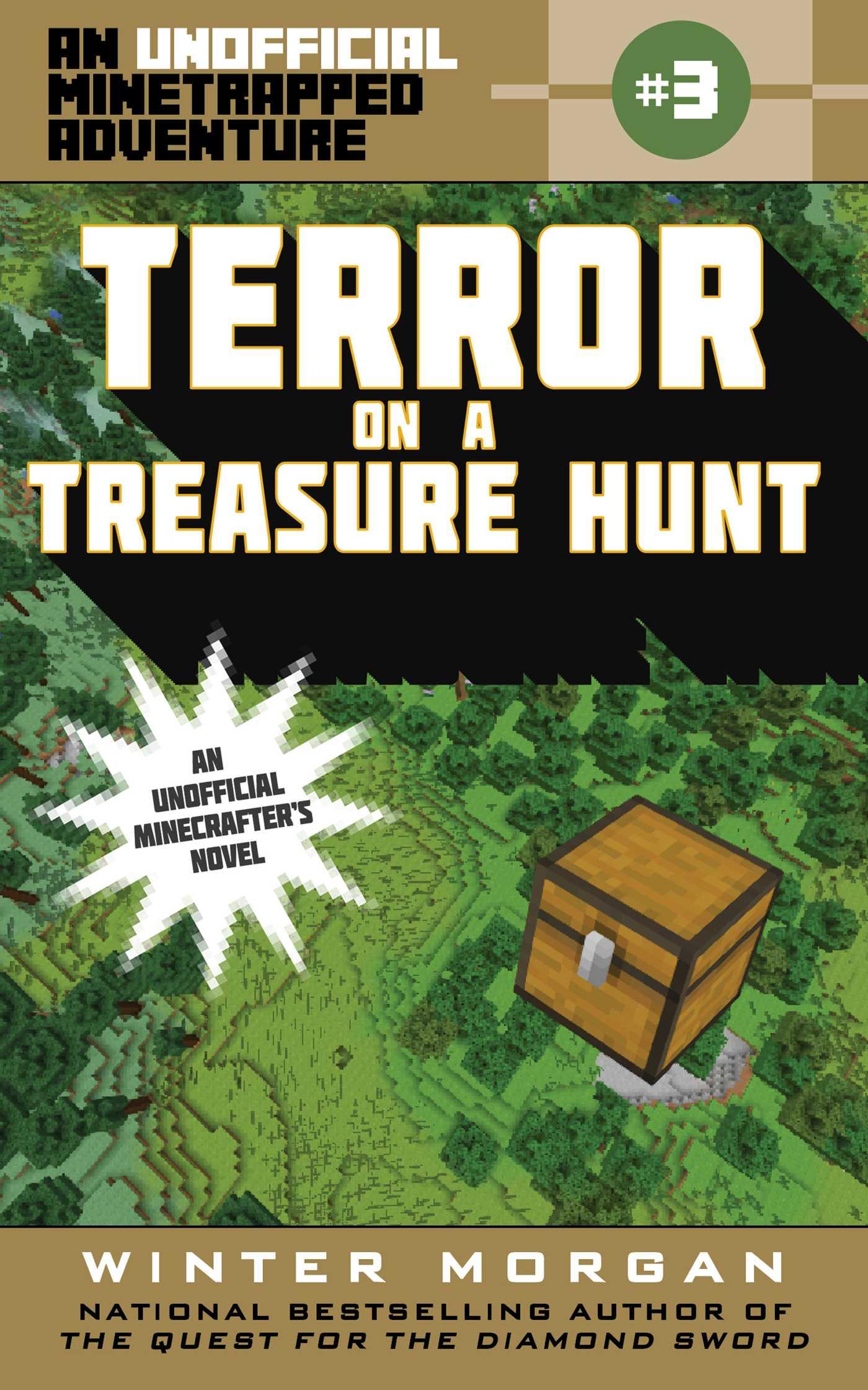 Vorderes Coverbild Terror on a Treasure Hunt