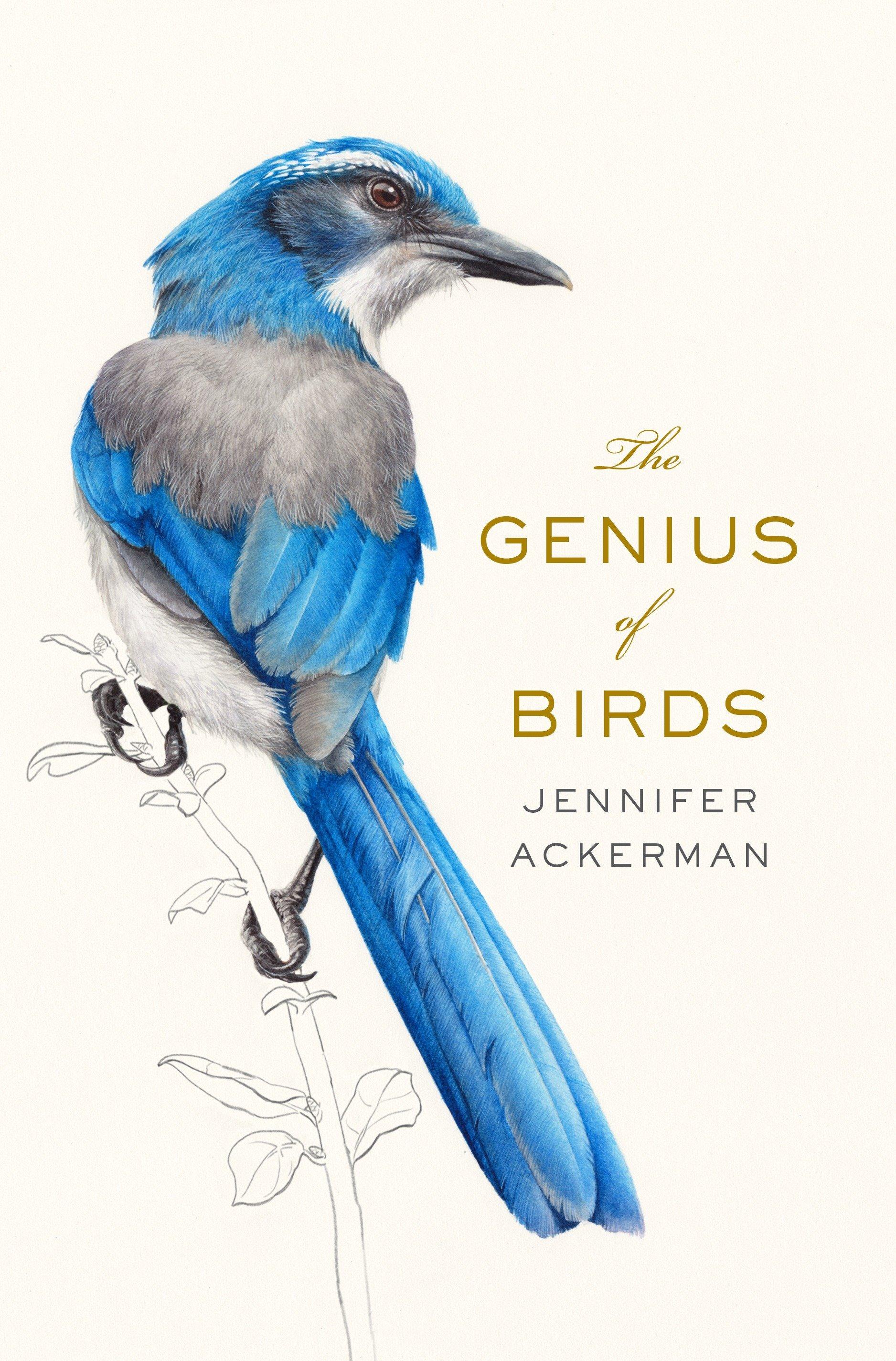Vorderes Coverbild The Genius of Birds