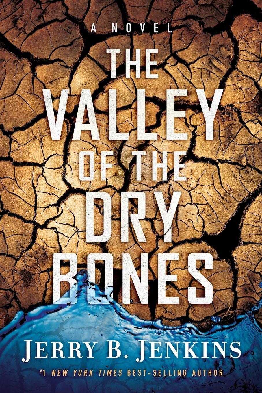Vorderes Coverbild The Valley of Dry Bones