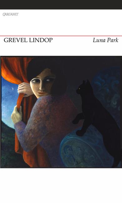 Vorderes Coverbild Luna Park