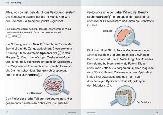 Beispielinhalt (Bild) Ich kenne meinen Körper - 3 Hefte im Kombi