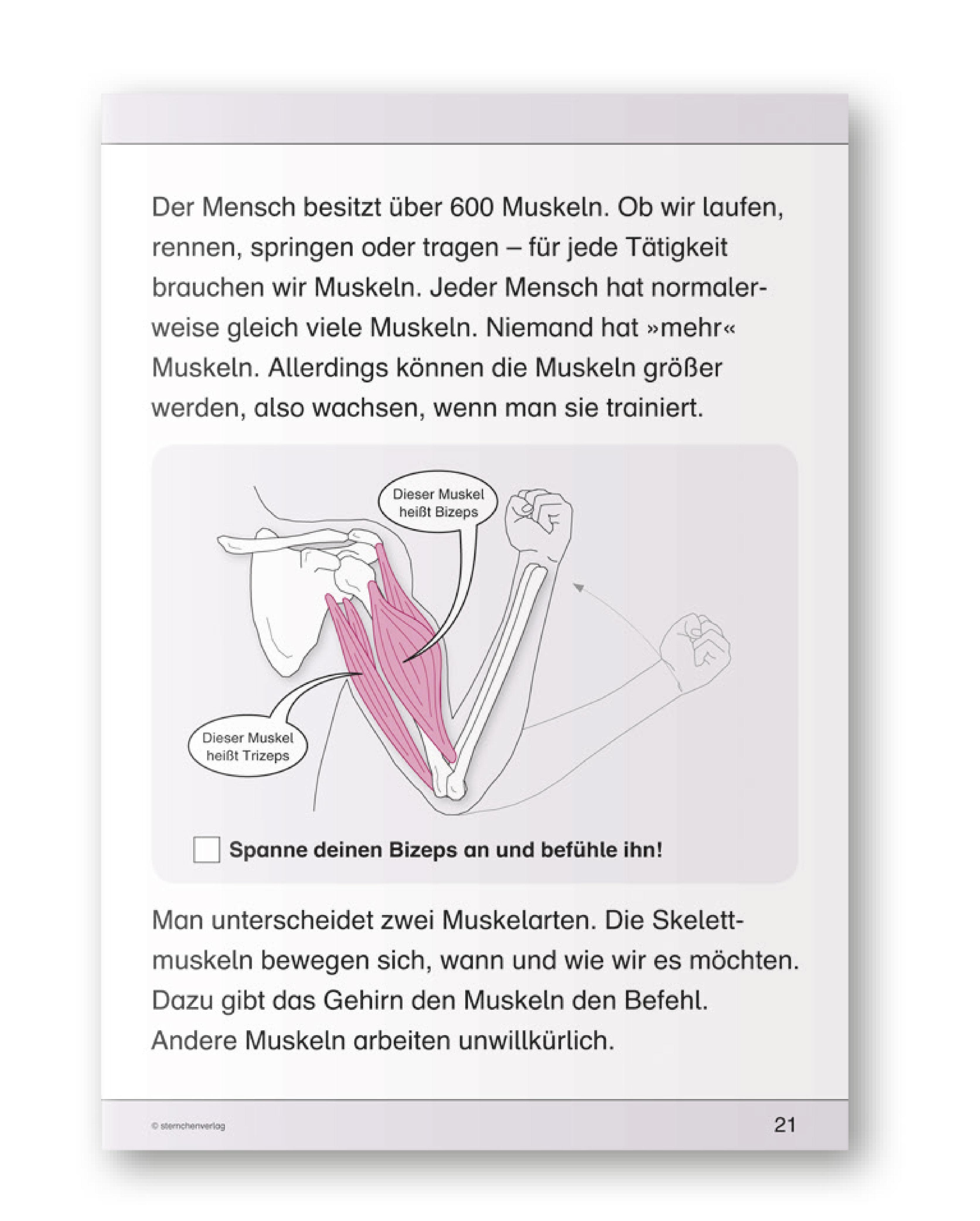 Beispielinhalt (Bild) Ich kenne meinen Körper - 3 Hefte im Kombi