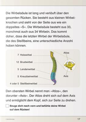 Beispielinhalt (Bild) Ich kenne meinen Körper - Skelett, Muskeln und Wirbelsäule