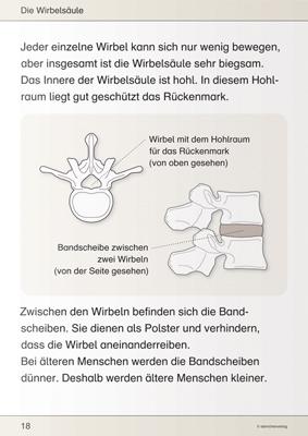 Beispielinhalt (Bild) Ich kenne meinen Körper - Skelett, Muskeln und Wirbelsäule