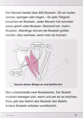 Beispielinhalt (Bild) Ich kenne meinen Körper - Skelett, Muskeln und Wirbelsäule