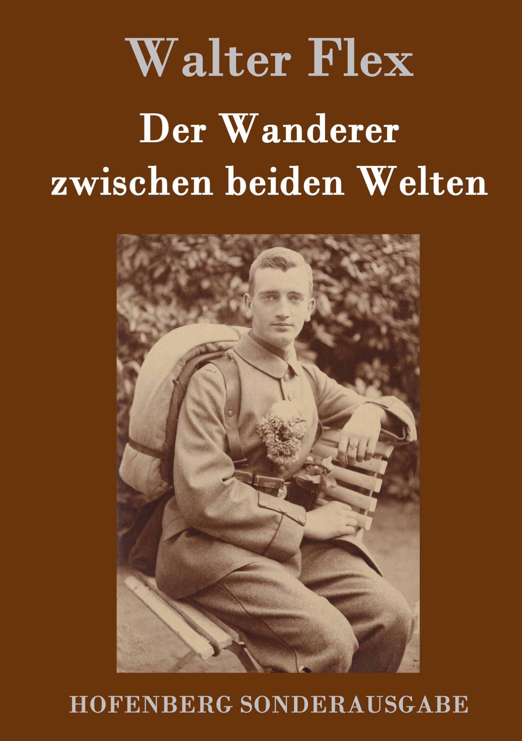 Vorderes Coverbild Der Wanderer zwischen beiden Welten