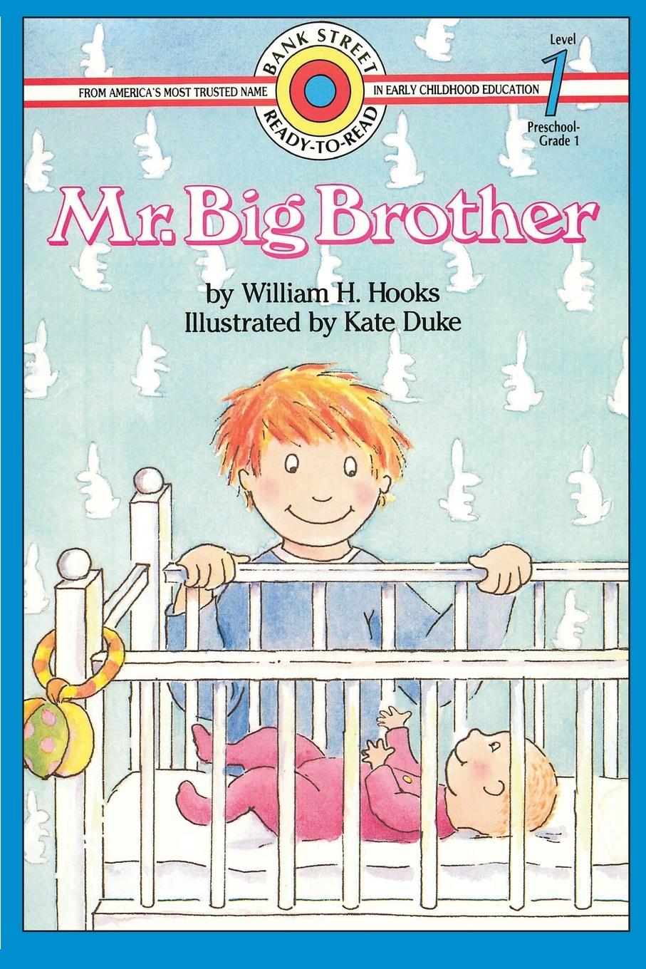 Vorderes Coverbild Mr. Big Brother