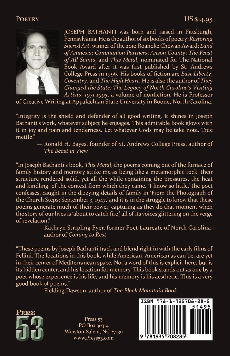 Rückseitencover This Metal