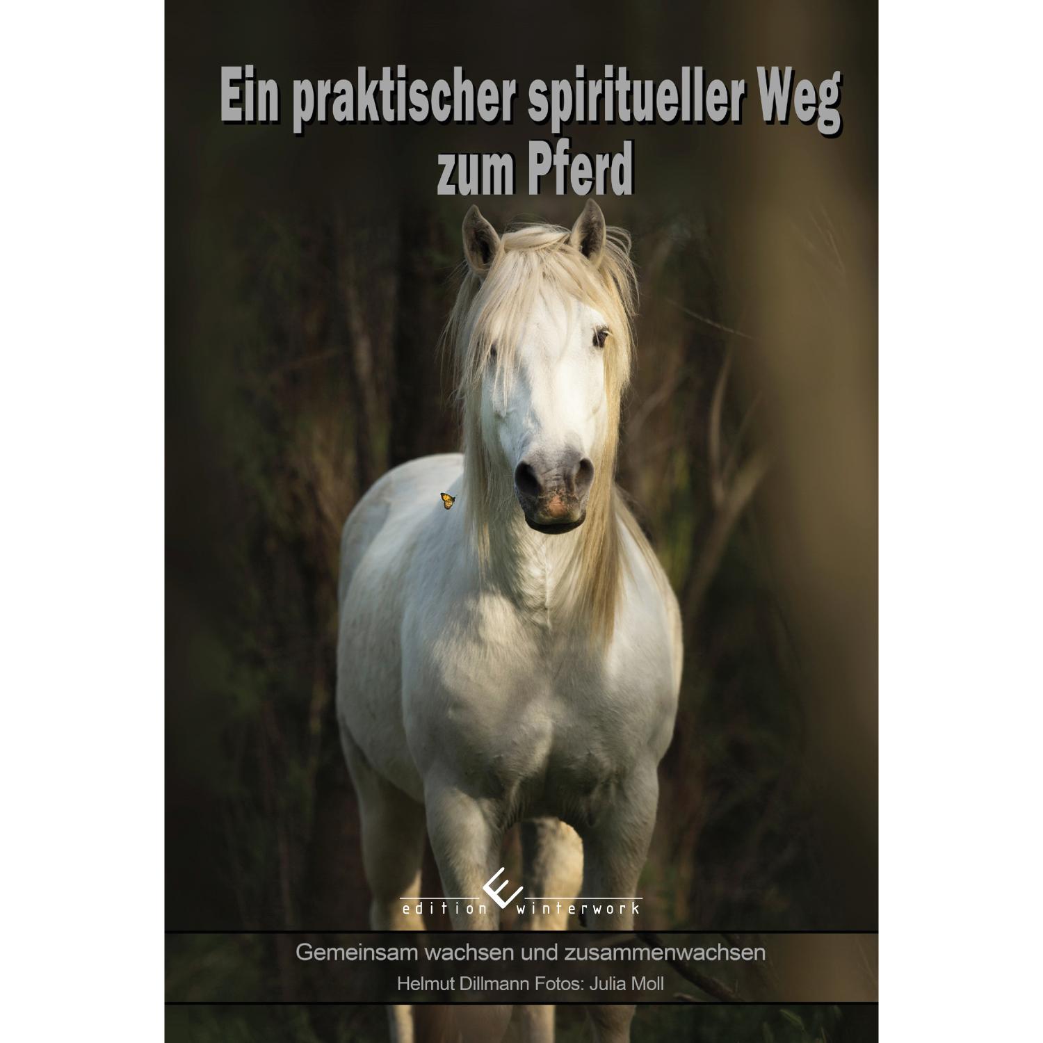 Vorderes Coverbild Ein praktischer spiritueller Weg zum Pferd