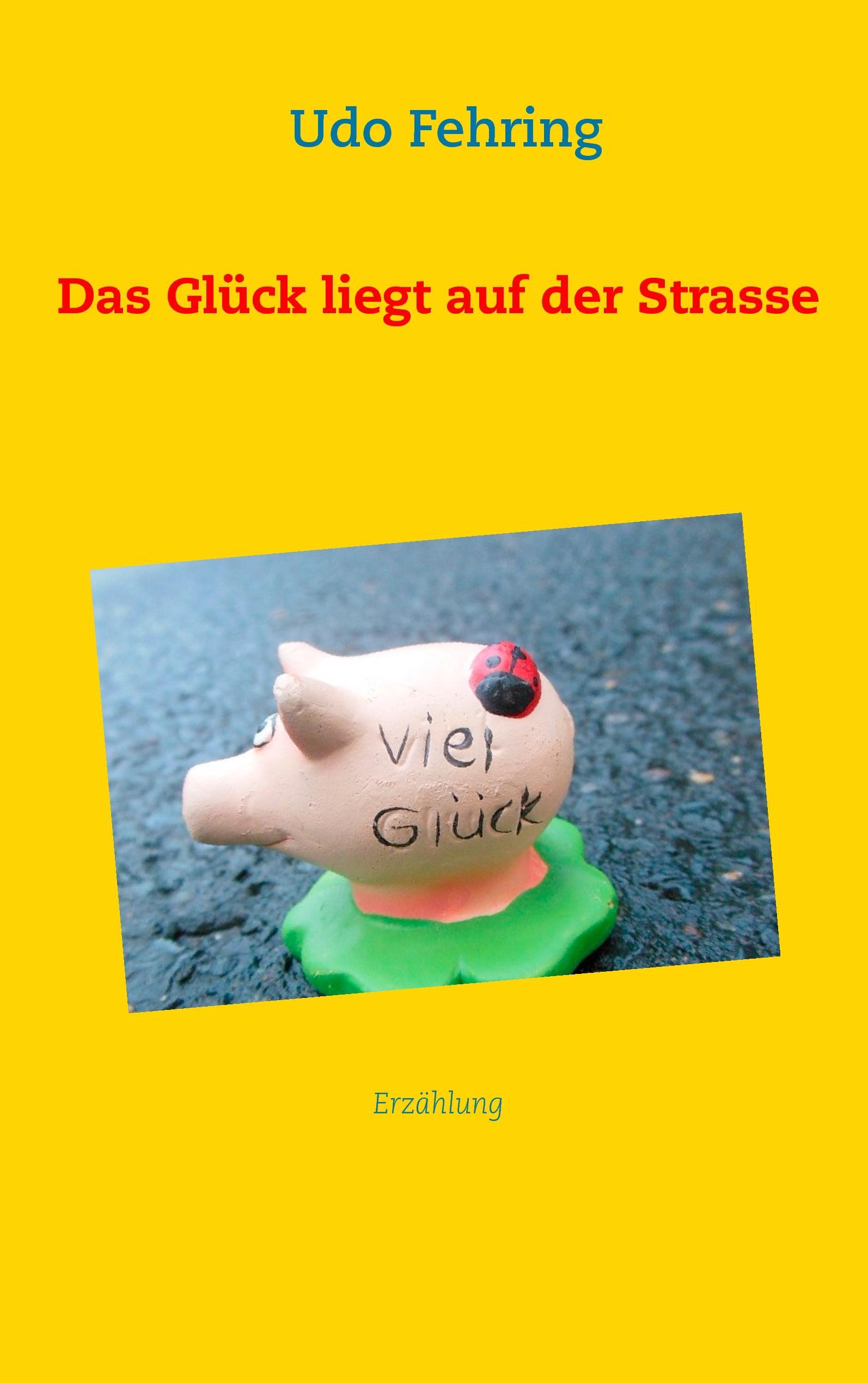 Vorderes Coverbild Das Glück liegt auf der Strasse