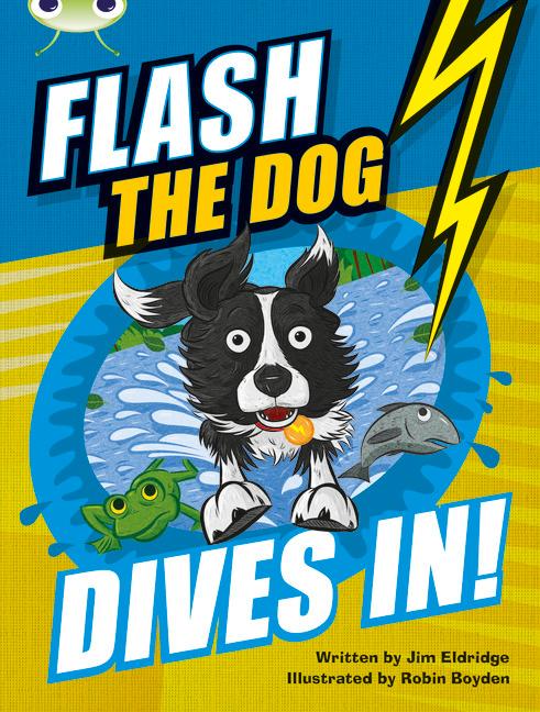 Vorderes Coverbild Bug Club Independent Fiction Year 3 Brown B Flash the Dog Dives In!