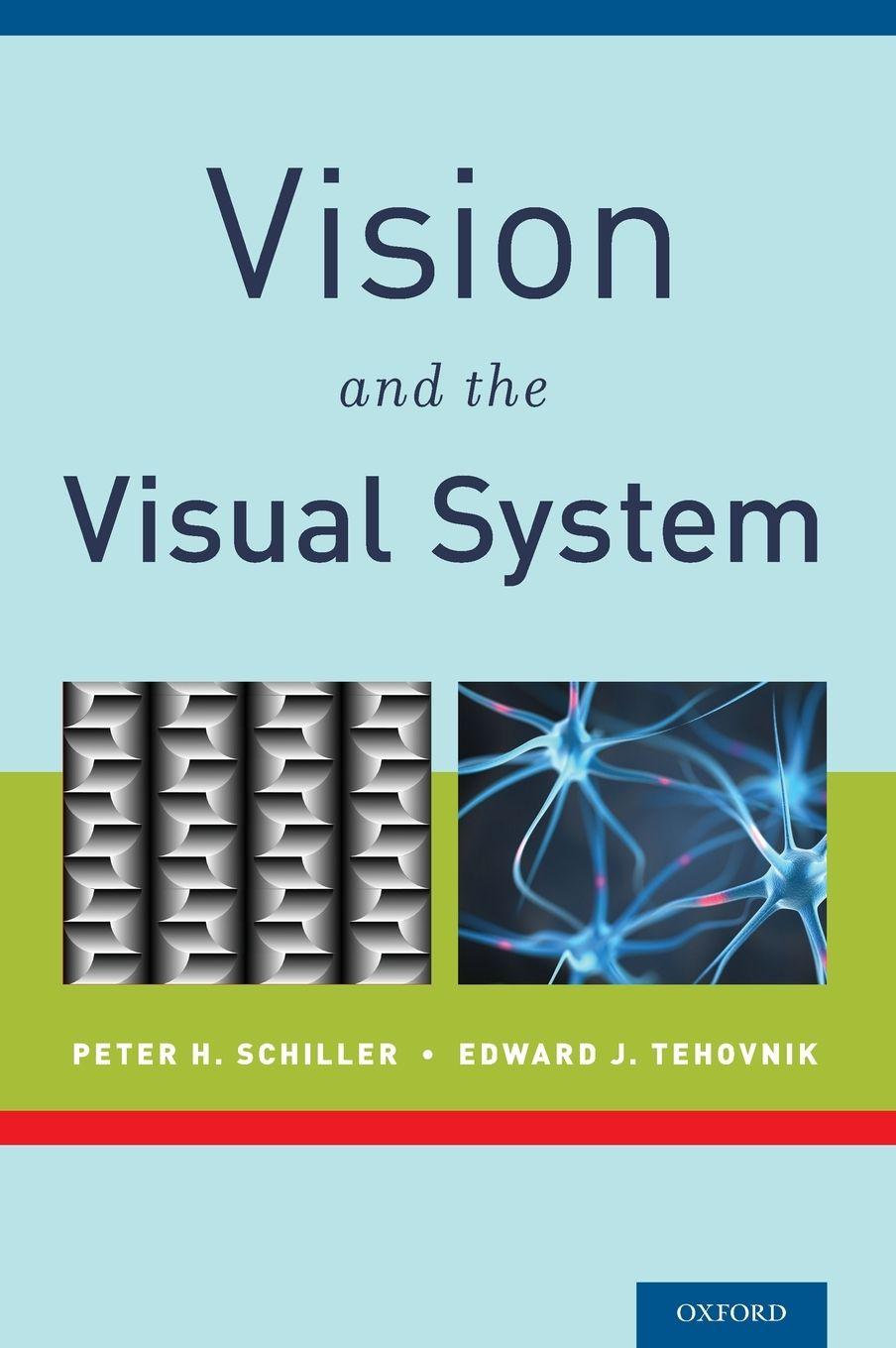 Vorderes Coverbild VISION AND THE VISUAL SYSTEM  C