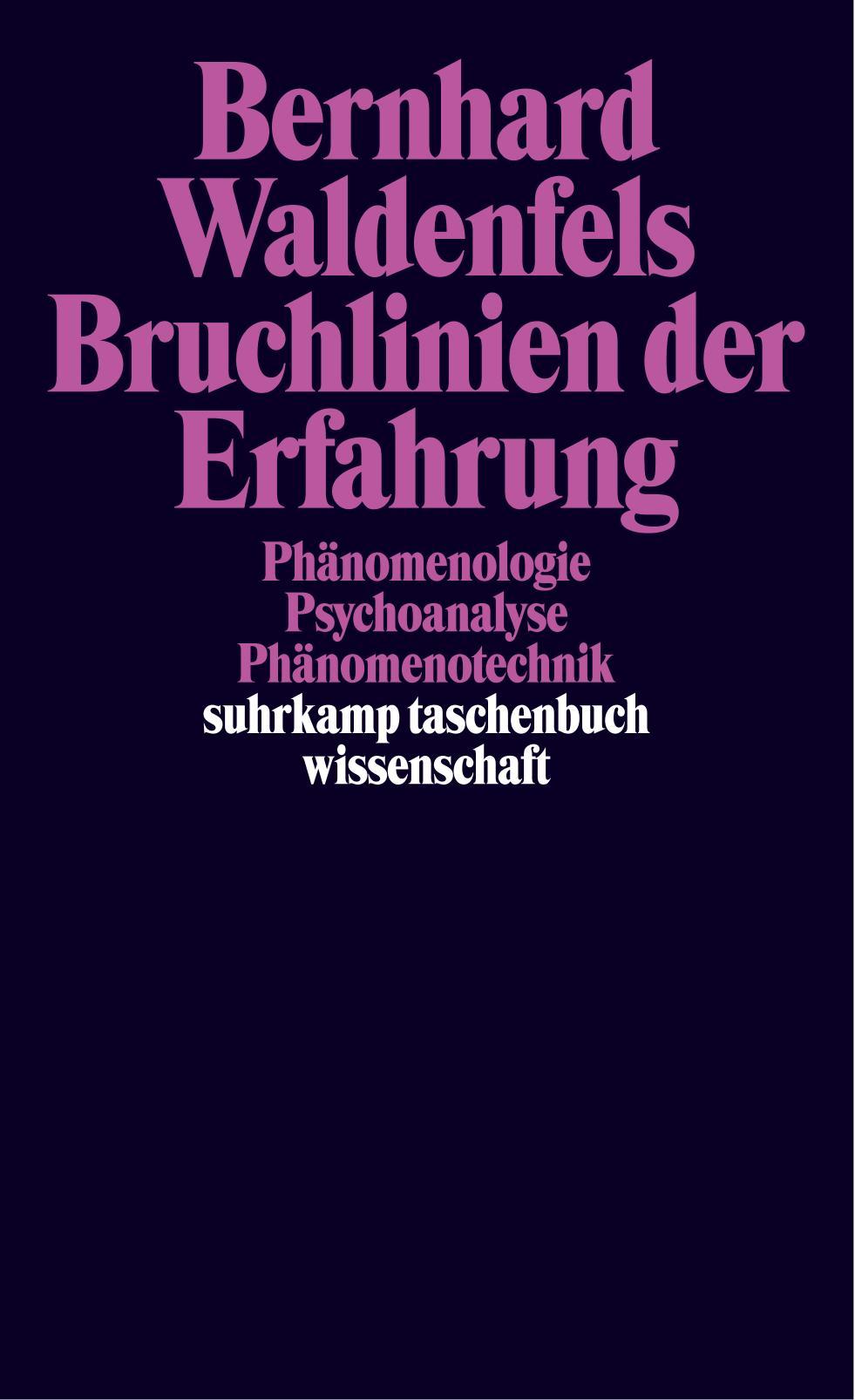 Vorderes Coverbild Bruchlinien der Erfahrung
