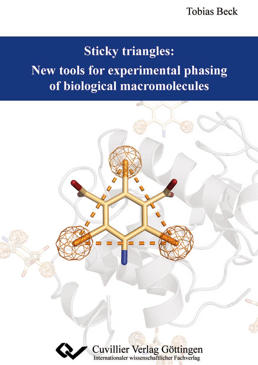 Vorderes Coverbild Sticky triangles: New tools for experimental phasing of biological macromolecules