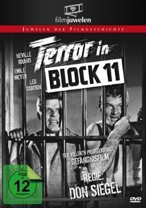 Vorderes Coverbild Terror in Block 11