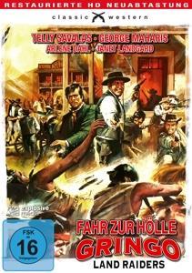 Vorderes Coverbild Fahr zur Hölle, Gringo