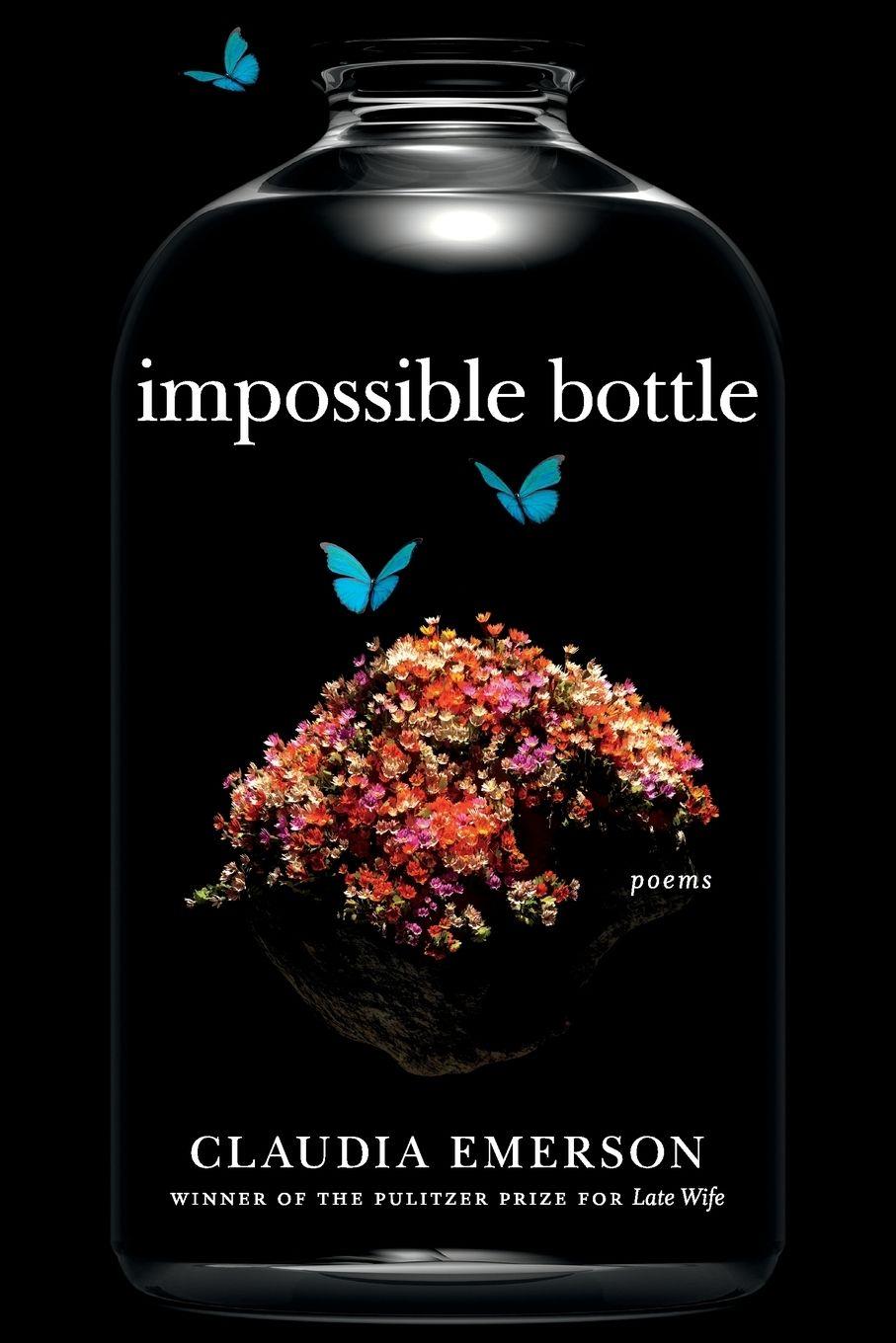 Vorderes Coverbild Impossible Bottle