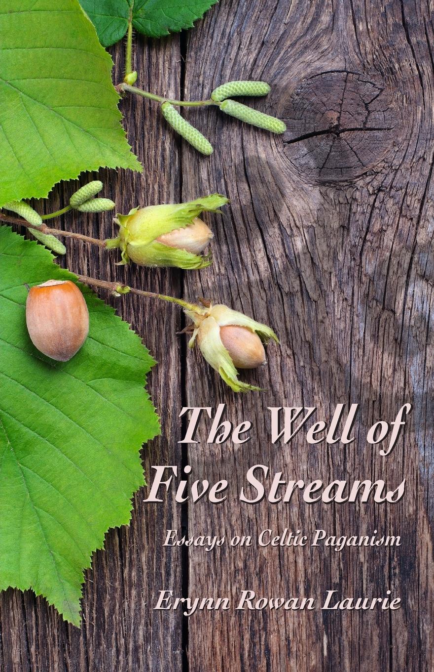 Vorderes Coverbild The Well of Five Streams