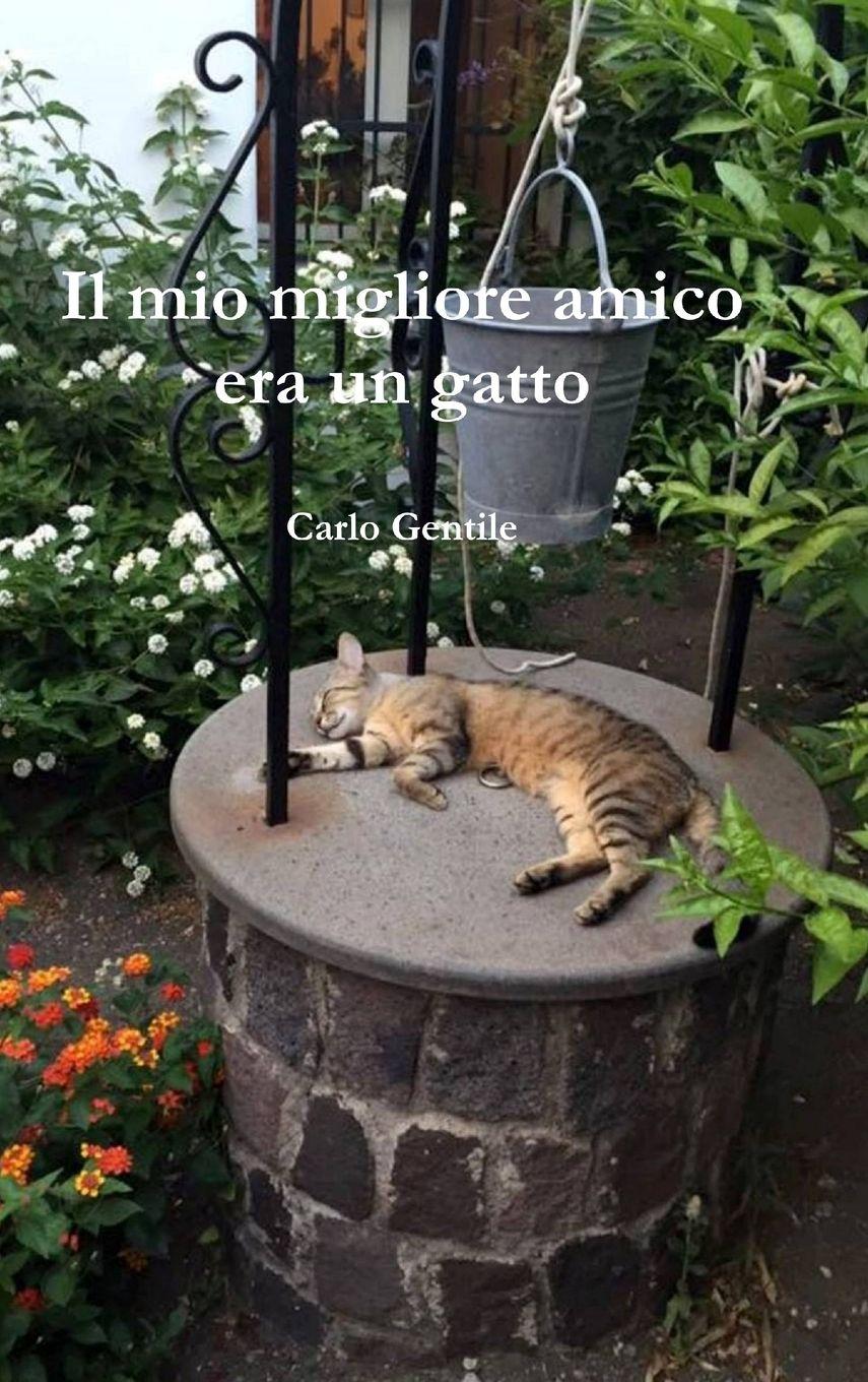 Vorderes Coverbild Il mio migliore amico era un gatto