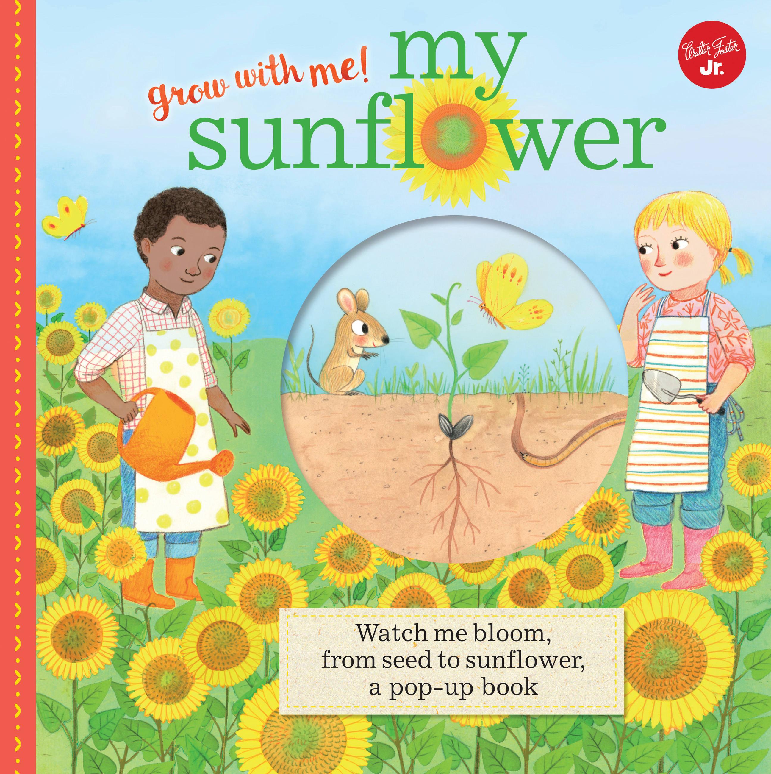Vorderes Coverbild My Sunflower