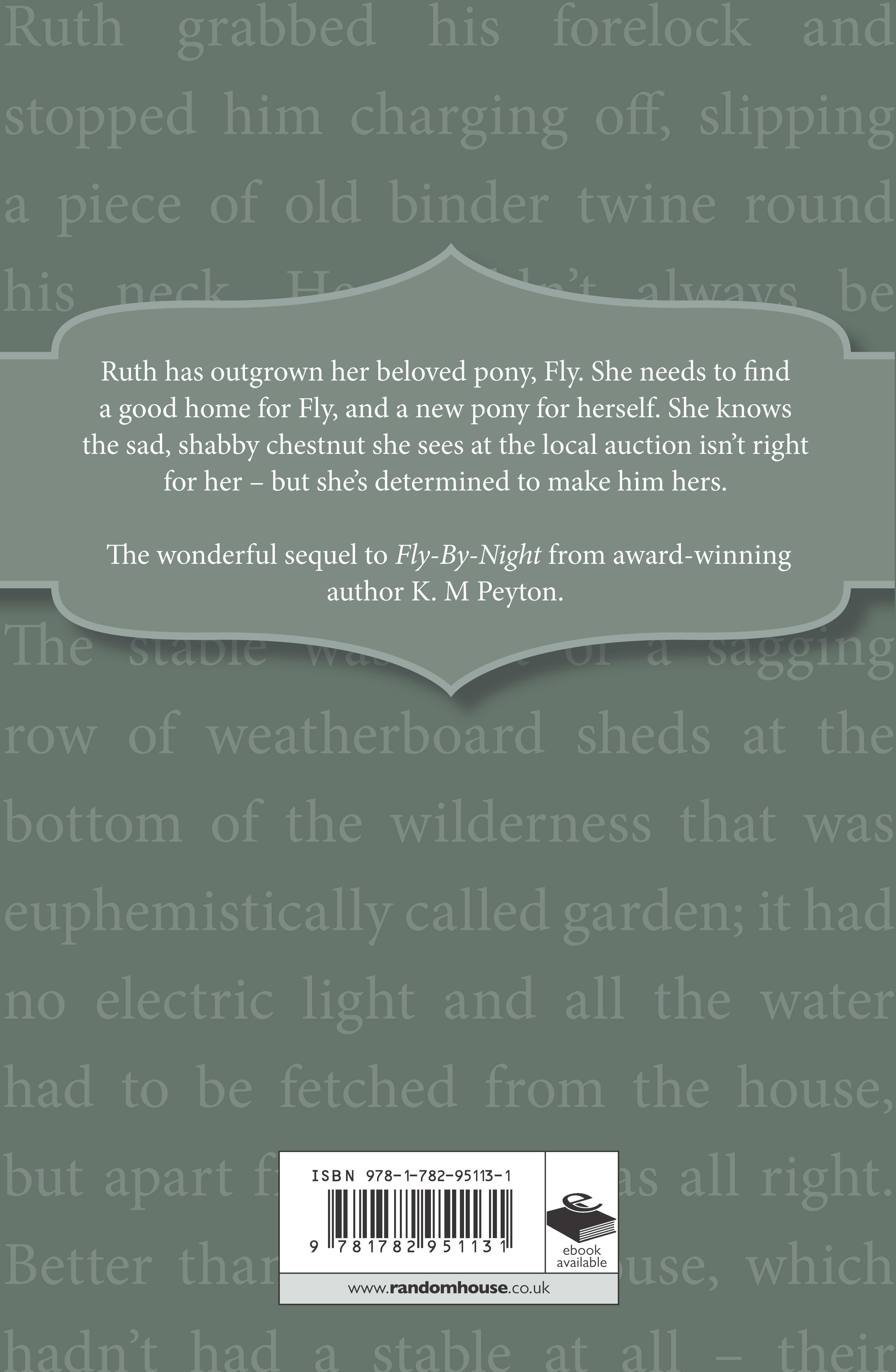 Rückseitencover The Team