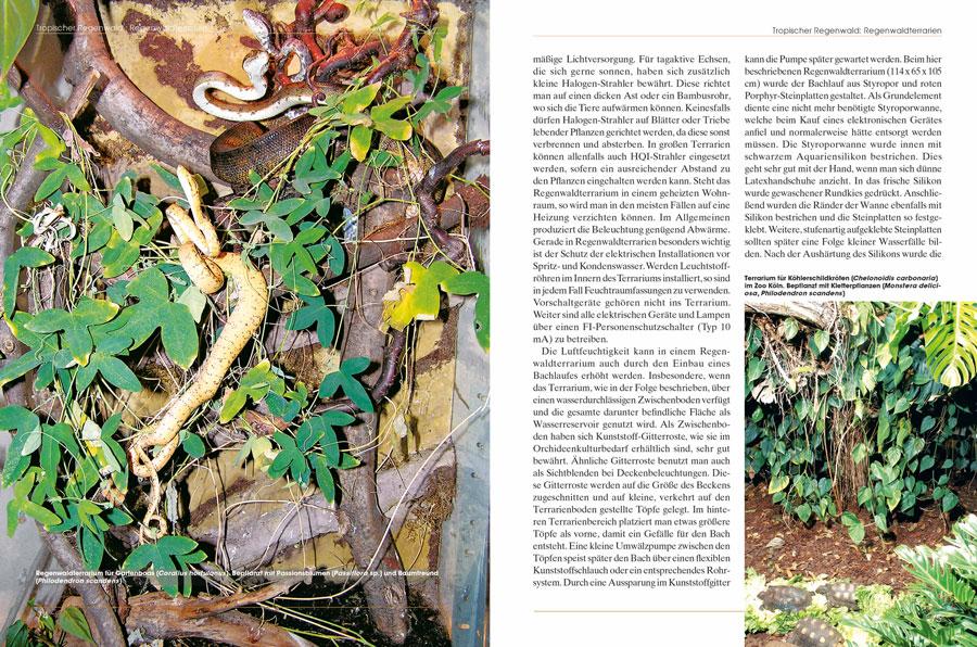 Beispielinhalt (Bild) Pflanzen im Terrarium