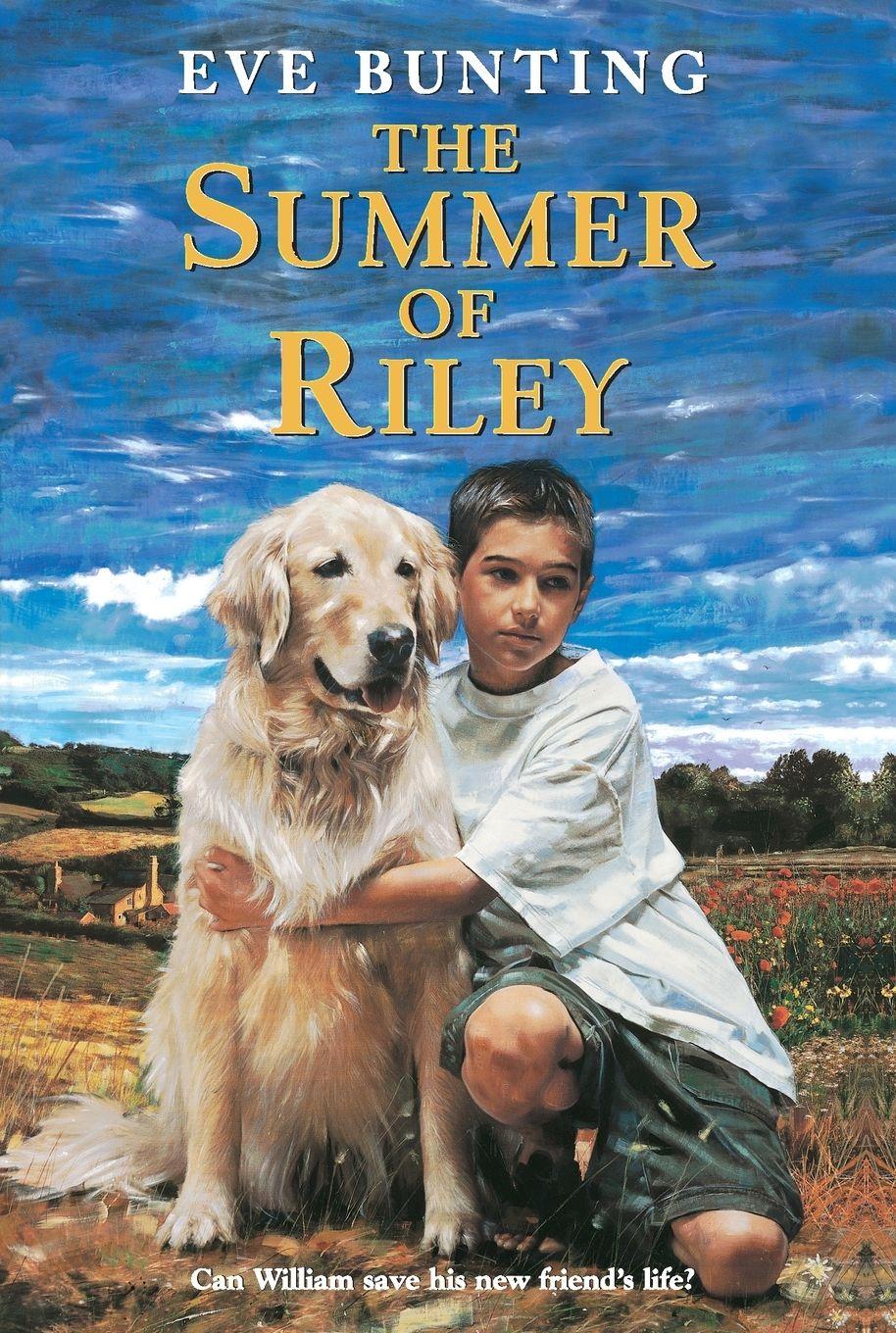 Vorderes Coverbild The Summer of Riley