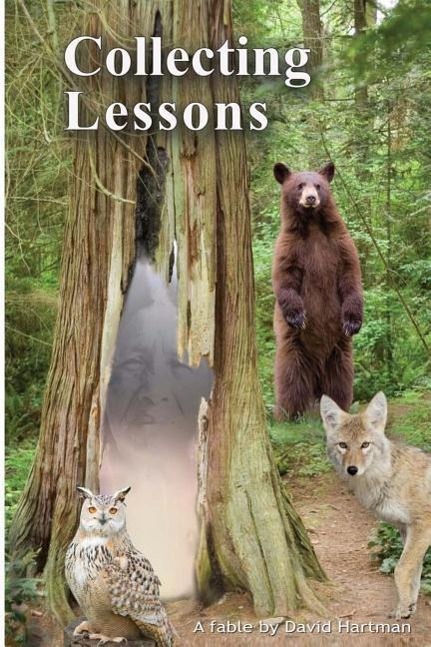 Vorderes Coverbild Collecting Lessons: A Fable
