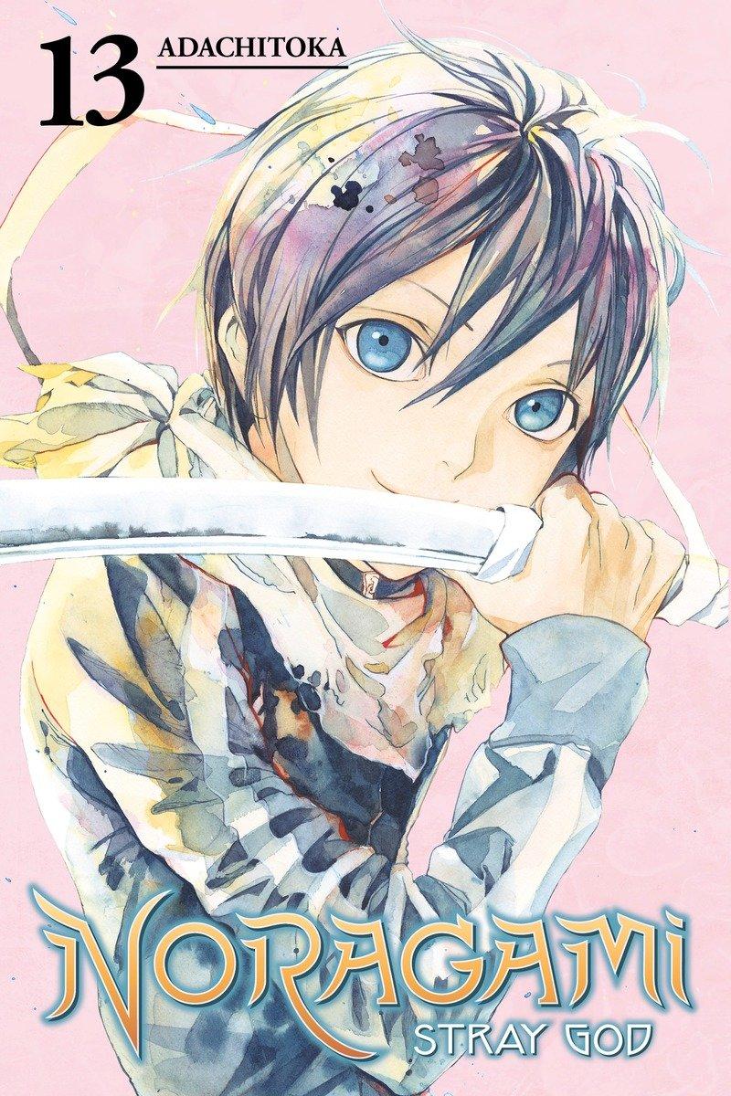 Vorderes Coverbild Noragami Volume 13