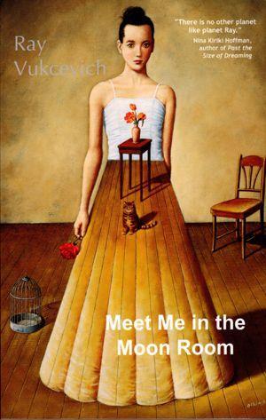 Vorderes Coverbild Meet Me in the Moon Room