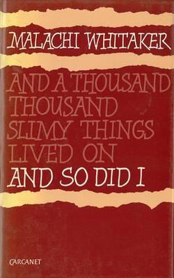 Vorderes Coverbild And So Did I