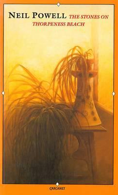 Vorderes Coverbild Stones on Thorpeness Beach