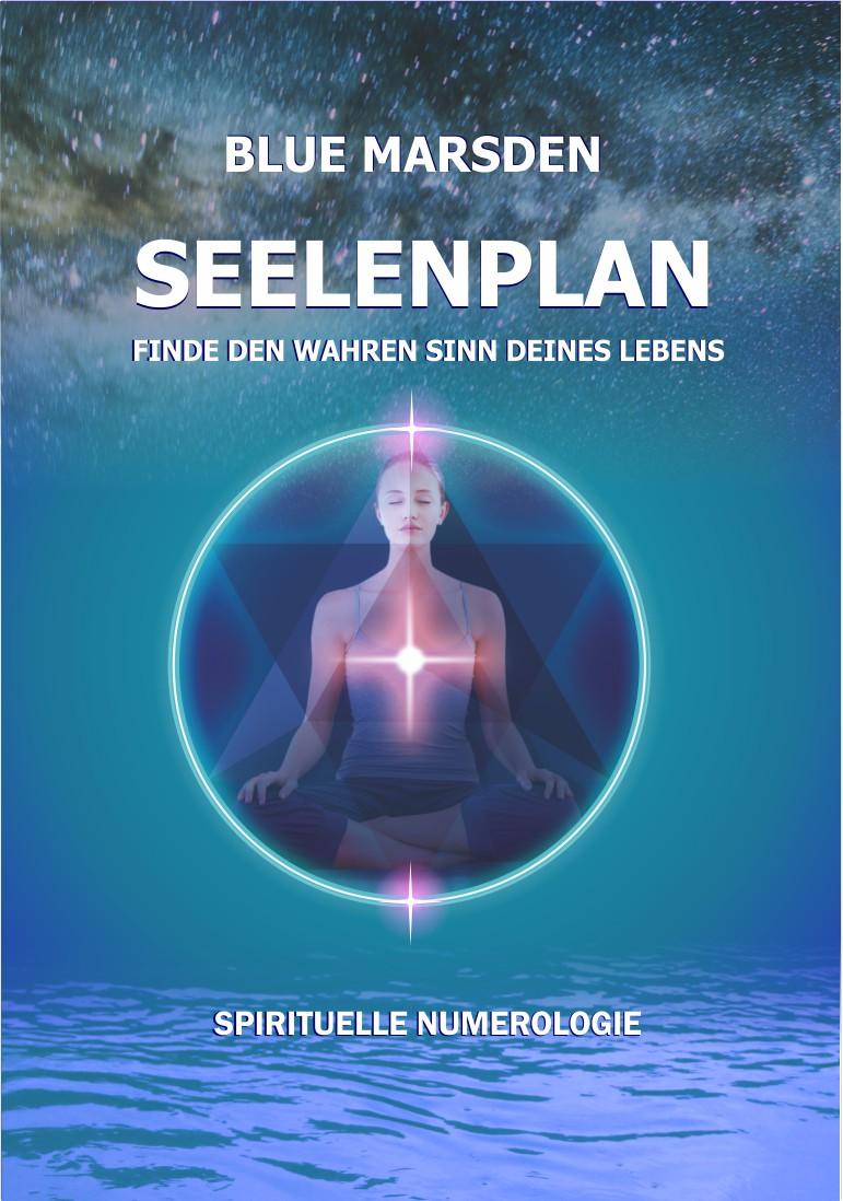 Vorderes Coverbild Seelenplan